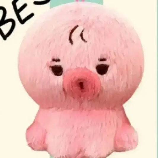 김선우 선우 더보이즈 떤코 10cm 인형