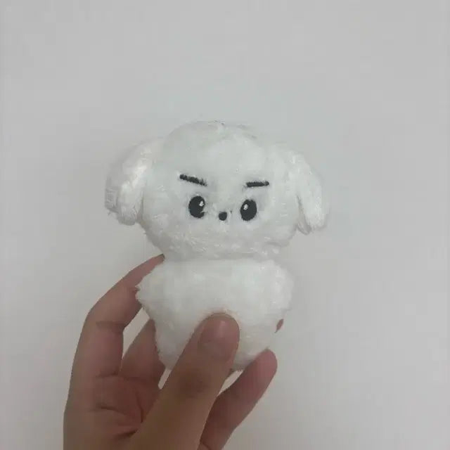 더보이즈 현재(재현) 영훈 인형 곰찌빵찌
