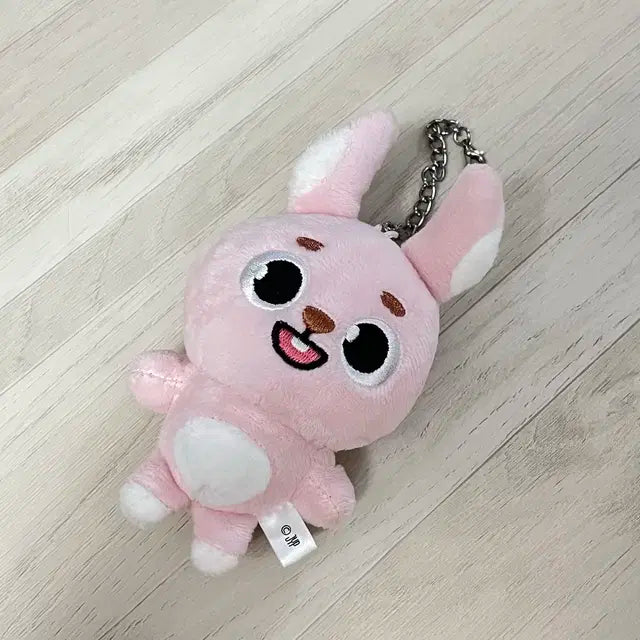 데이식스 일본md 데니멀즈 백참 필끼