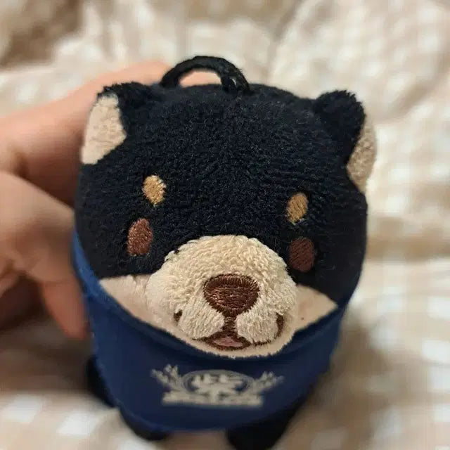 시바견 미니인형 키링