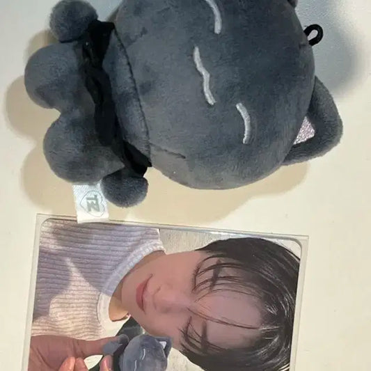 더보이즈 주연 제이 인형 제너레이션 판매