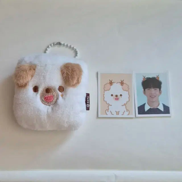 데이식스 데니멀즈 id 홀더 돈 도운