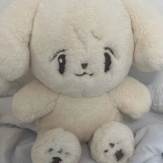 엔시티 정우 인형 왕정아지 정아지