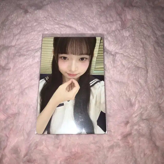 아이브 다이브 4기 레이 포카