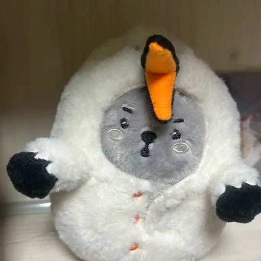 배통이 팔아요