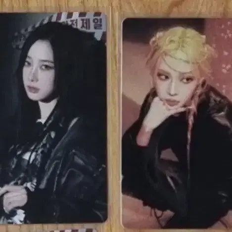 에스파 아마겟돈 큐큐뮤직 qq 포카