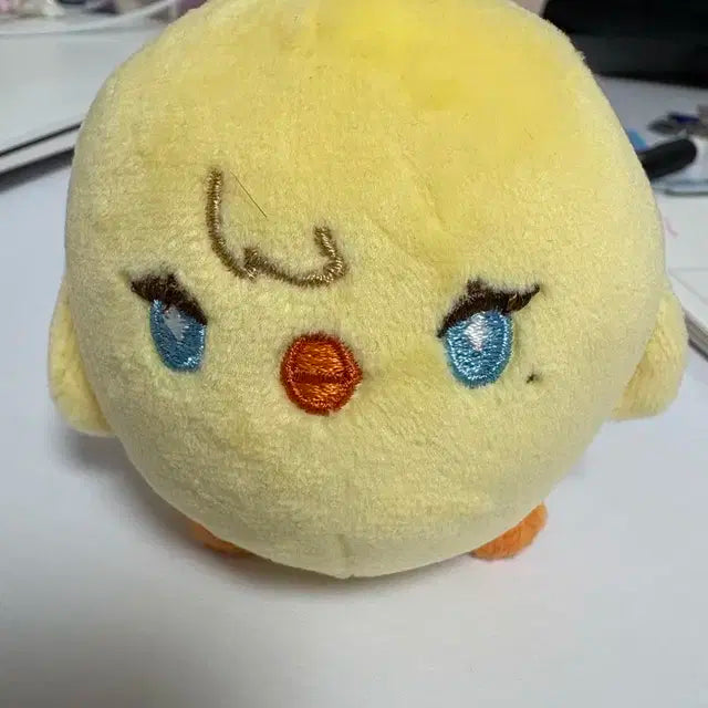 플레이브 노아 비공굿 인형 삐아 양도