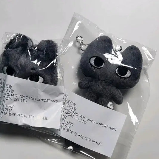 엔시티위시 리쿠 냥쿠 롱다리냥쿠 양도