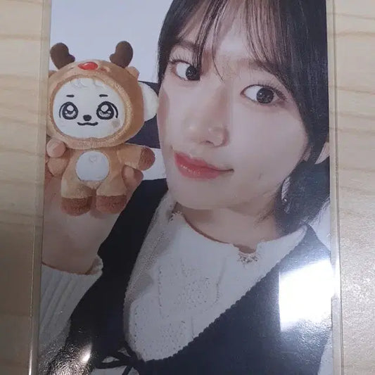 아이브 크리스마스 미니브 강안지 특전 포카 안유진
