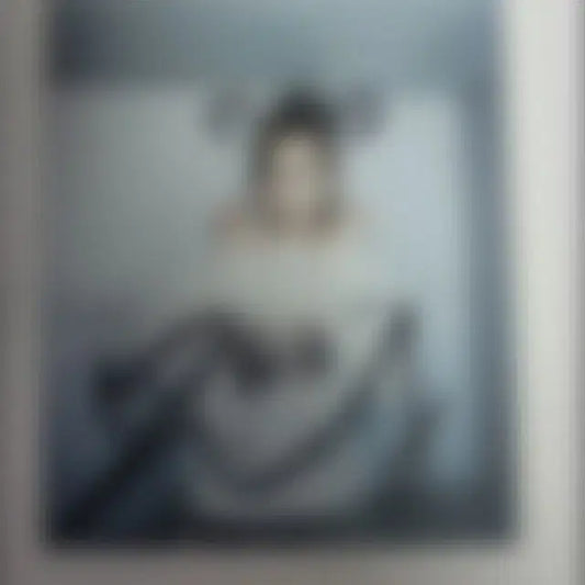 케플러 휴닝 바히에 폴라 양도