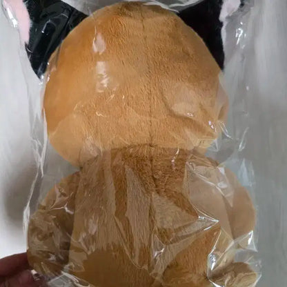 카라쟌 40cm