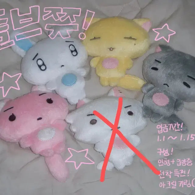 플레이브 플브쮸 양도