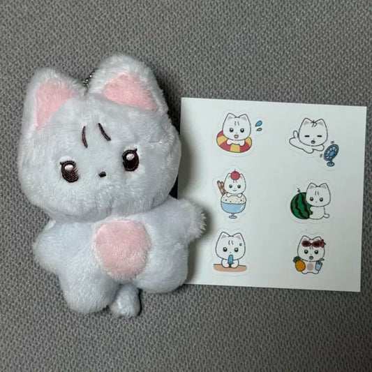 더보이즈 뉴 최찬희 차니  차니냥 양도 판매 합니다