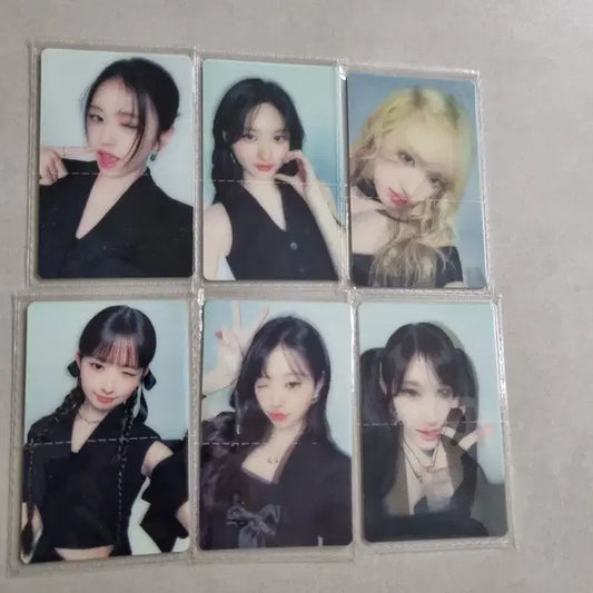 아비브 포카 일괄