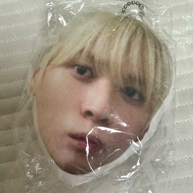라이즈 송은석 생카 풍선껌키링
