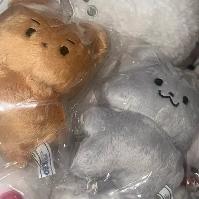 달곰 미개봉