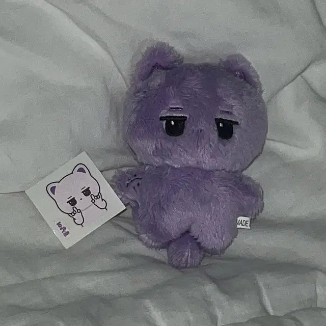 몬스타엑스 아이엠 10cm 인형 훙냥이 양도
