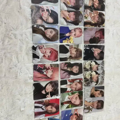아이브 레이포카 판매