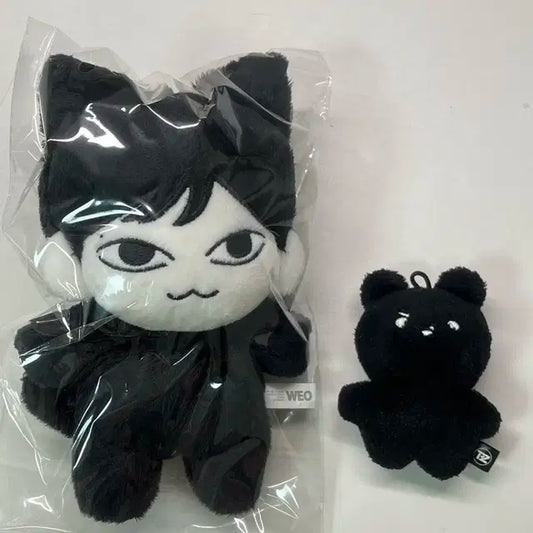 마물쭈 더보이즈 현재 제너레이션 공식 인형