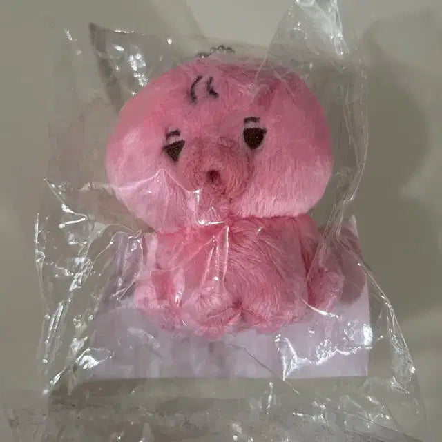 더보이즈 선우 10cm 인형 떤코