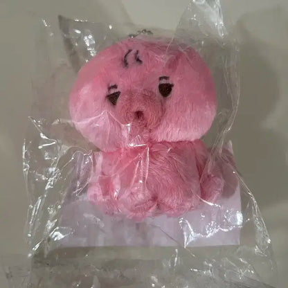 더보이즈 선우 10cm 인형 떤코