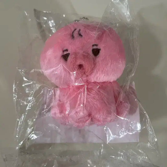 더보이즈 선우 10cm 인형 떤코