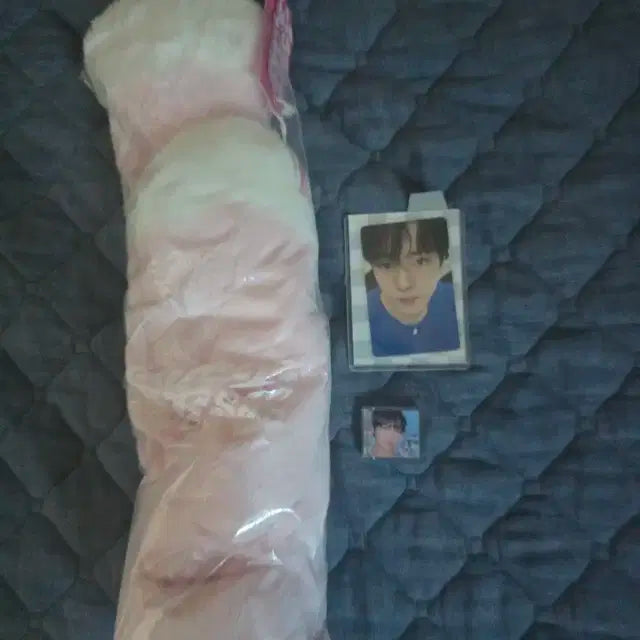 엔시티 위시 유우시 사쿠야 중국엠디 목도리 포카