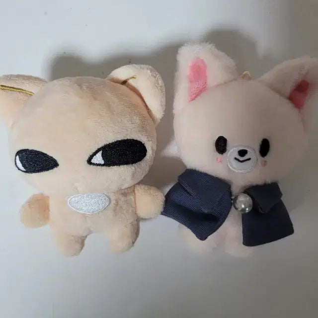 폭시니 양어린녀석 일괄 판매합니다!