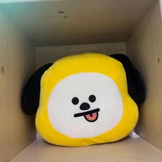 bt21 쿠션