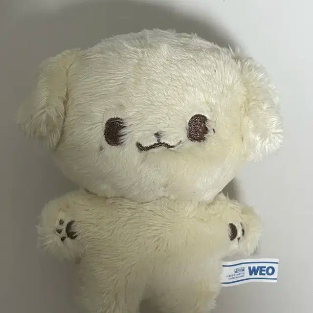 엔시티드림 제노 인형 콩젠 양도