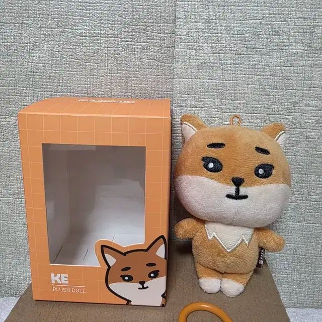 데이식스 데니멀즈 20케 양도
