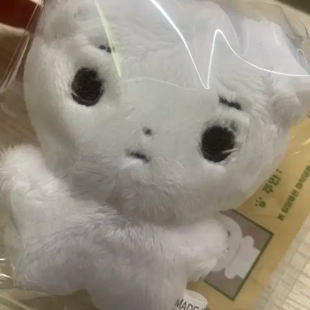 몬스타엑스 민혁 꽈악댕
