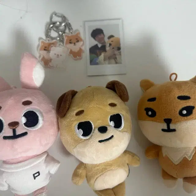 데이식스 필끼 케둥이 돈 키링