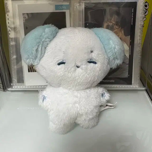 솜재현 양도