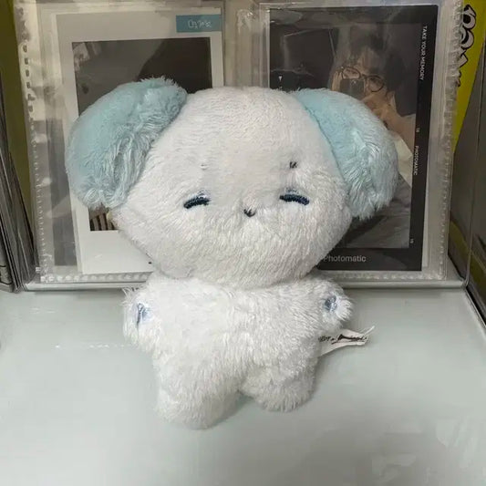 솜재현 양도