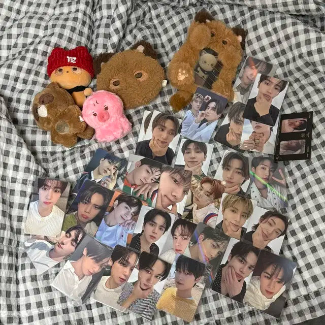 더보이즈 일괄 / 떤코 쪼구리 제너레이션 선우 인형 포카 외 일괄