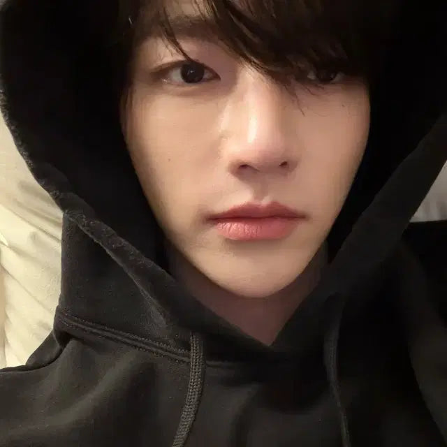 하니니 솜하오 판매