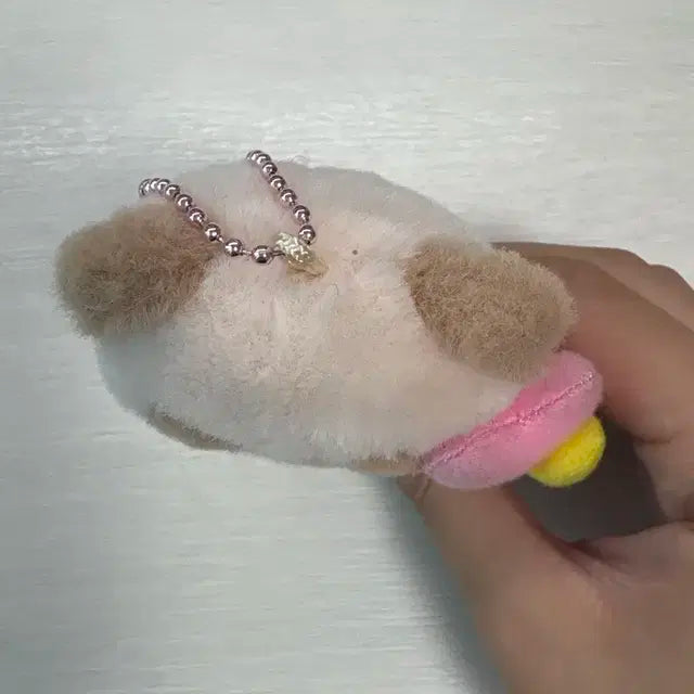 제베원 팝업 하니니 인형 양도