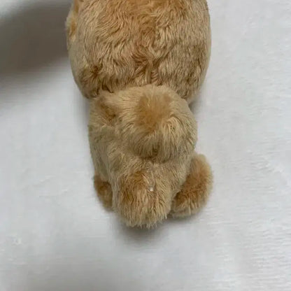 더보이즈 현재 주연 인형 달곰 쥬냥 일괄 판매합니다