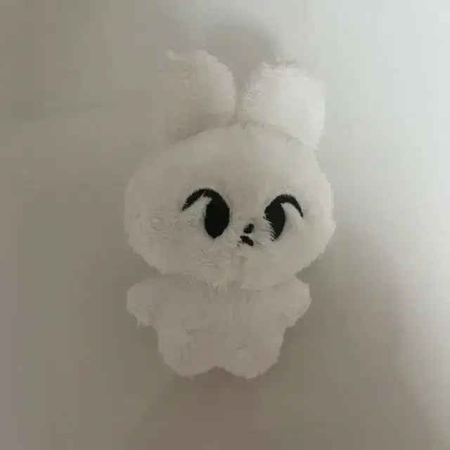 엔시티도영 하또