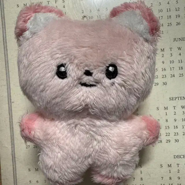엔하이픈 선우 인형 썬폭스