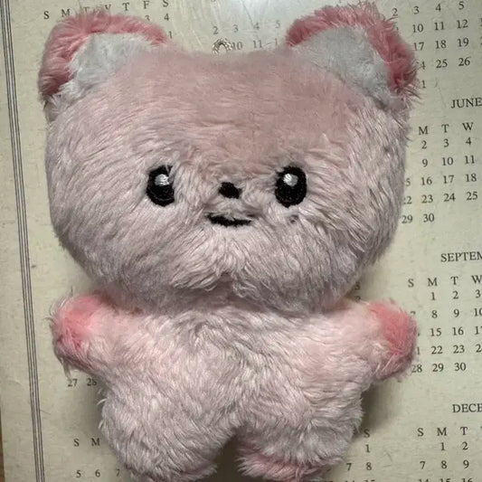 엔하이픈 선우 인형 썬폭스
