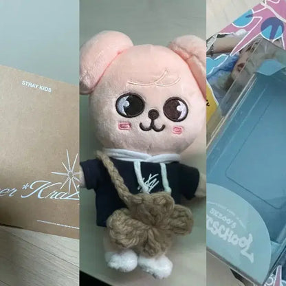 스키즈 퍼핌,디아이콘 한, 스키주 캐리어