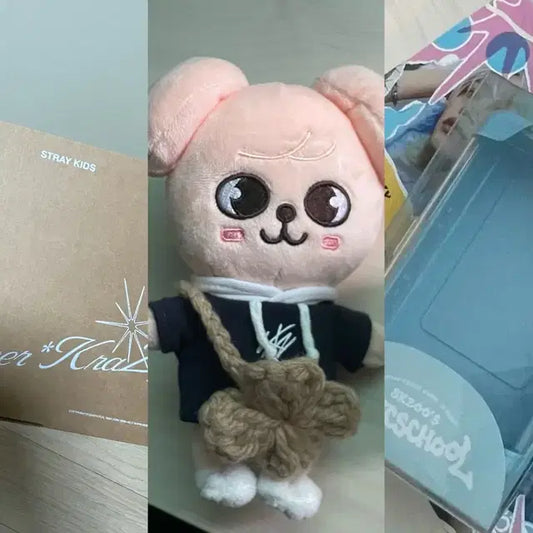 스키즈 퍼핌,디아이콘 한, 스키주 캐리어
