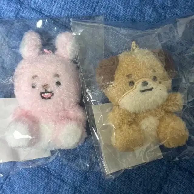 데이식스 데니멀즈 앉은쁘멀(필, 돈)