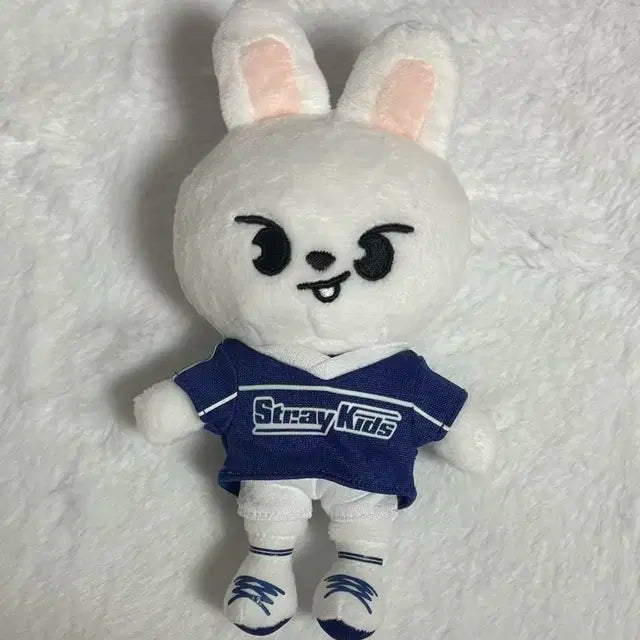 스키주 리빗 재팬 팝업 백참
