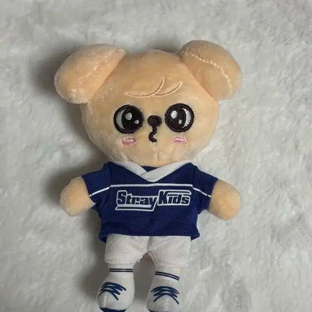 스키주 퍼핌 재팬 팝업 백참