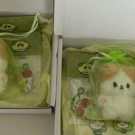 미니 쩡토리 미개봉 원가이하