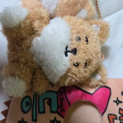 데이식스 케 인형 일괄