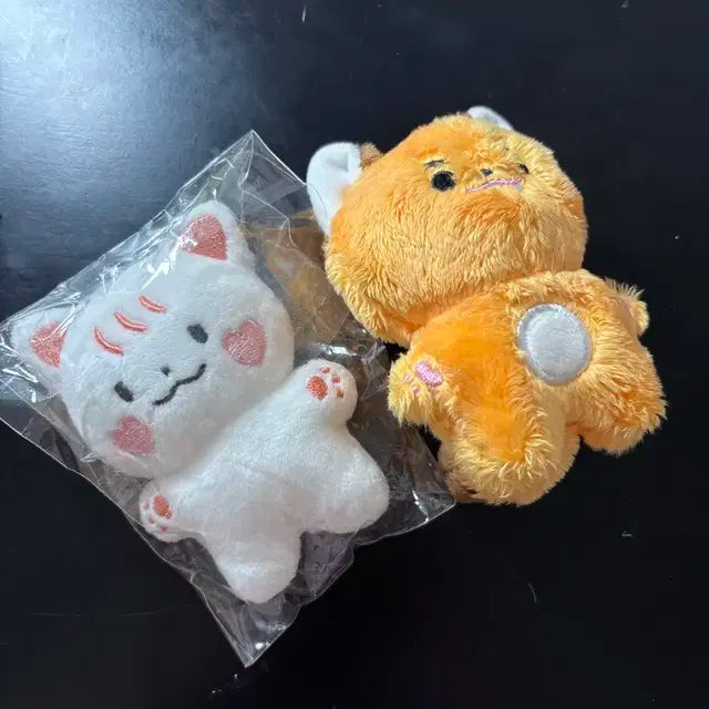 쭌냉이 쭌콩이 처분